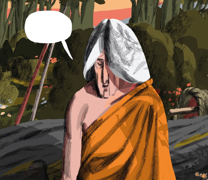 El Tiempo de las plantas texto 03